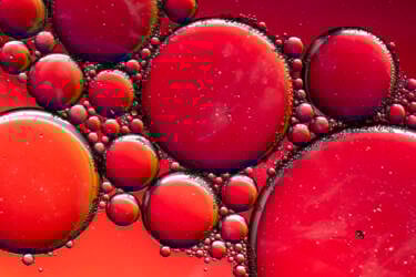 Ross Hoddinott | Nikon magazine